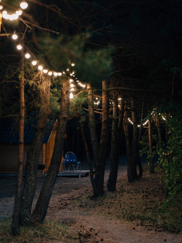 A row of trees decorated with hanging light bulbs during a party at night, Lake Sevan, Armenia